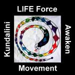 LIFE Force  Movement for Men March 21 2013  7:00pm to 8:30 pm Awaken Studio Toronto www.phillipcoupal.ca